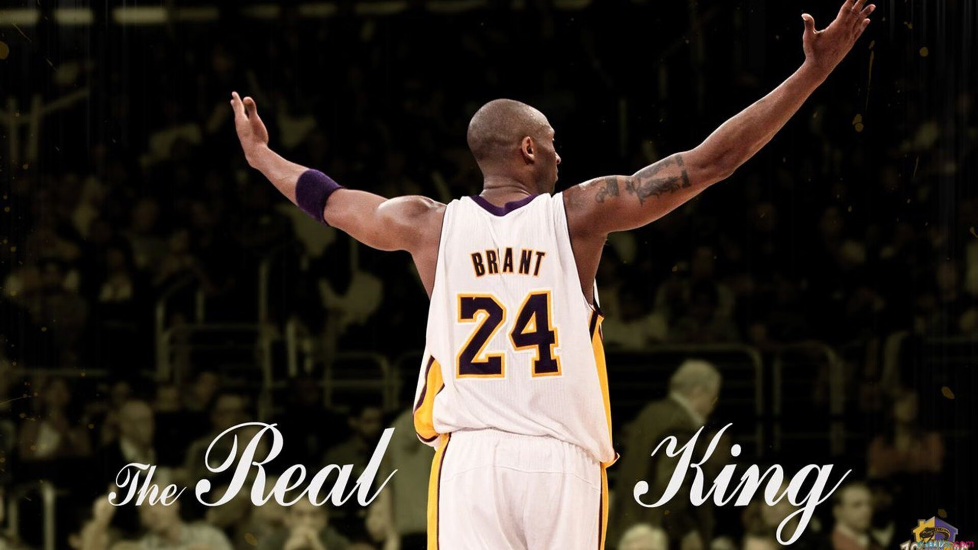 米兰体育在线登录-世界拳击冠军争霸夜上海收官,世界拳击大赛视频