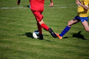 米兰体育app-世界青少年自行车赛中国骑手再创佳绩，2020全国青少年自行车锦标赛